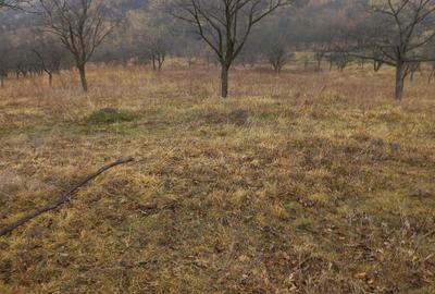 Casă în Dumitrești - 2