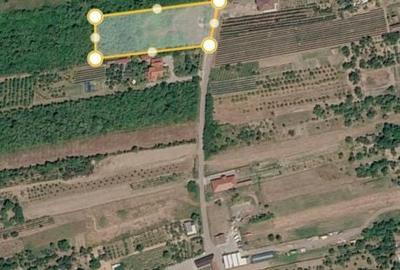Teren de 5900 mp, în Viile Satu Mare - 1