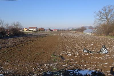 Teren de 9000 mp, în Sântuhalm
