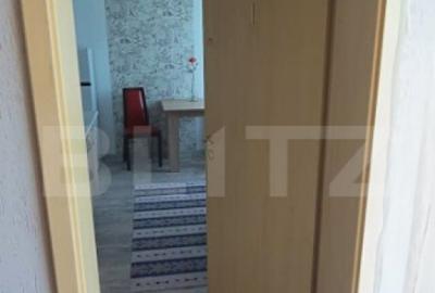 Apartament cu 2 camere semidecomandat în Borhanci