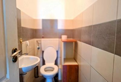 Apartament cu 3 camere decomandat în Chișoda - 8