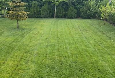 Vanzare casa Paradisul Verde Corbeanca - 9