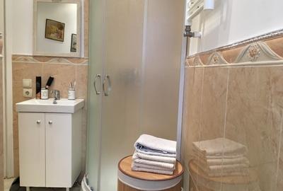 Apartament 2 camere de închiriat – Zonă Armeneasca-Rosetti - 6