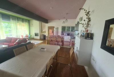 Casă cu 6 camere cu Teren 6600 Mp în Cornu - 12
