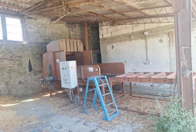 Spațiu comercial, în Beiu - 5