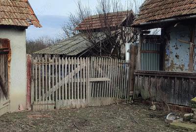 Casă cu 3 camere în Mișca - 1