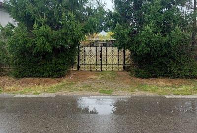Casă cu 4 camere cu Teren 5000 Mp în Mircea Vodă - 6