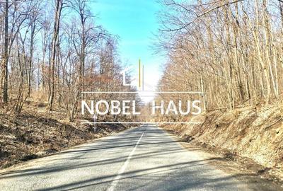 Casă cu 4 camere cu Teren 9528 Mp în Șișcani - 13