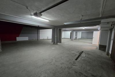 Spatiu comercial, 229 mp utili, rampa acces auto, zona Iulius Mall - 2