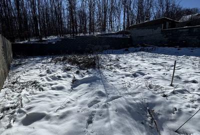 Spațiu comercial, în Trivale - 3