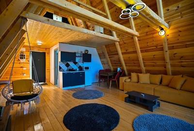 FILM! Ansamblu in circuit hotelier,5.700mp teren,Moieciu,constructie 2025 - 21