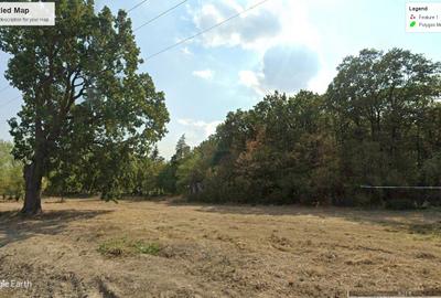 INCHIRIEZ 3.7ha PADURE+anexe pentru AVENTURA Parc, Bucuresti-Vest Padurea Ileana