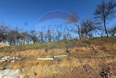 Spațiu comercial, în Cărbunari - 3