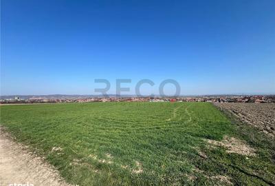 Teren de 5375 mp, în Oșorhei - 3