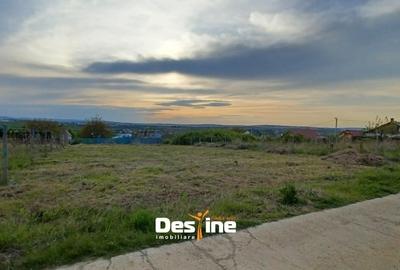 Teren Construcții intravilan de 974 mp, în Bârnova - 1