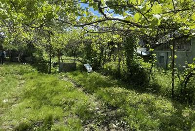 Casa de vanzare! - 7