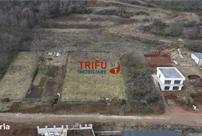 Teren de 990 mp, în Cetate - 4