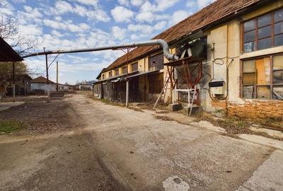 Fabrica prelucrare lemn de vanzare – Lipova, Arad - 12