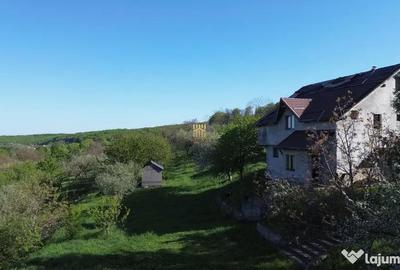 Teren de 4863 mp, în Adâncata - 3
