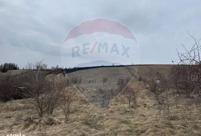 Spațiu comercial, în Sălicea - 2