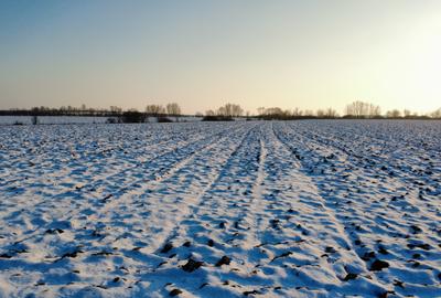 Calea Sagului-INCONTRO- teren potential industrial- 17800mp - 8