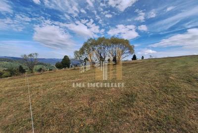 Teren  Intorsura Buzaului Dealul Frumos - 5