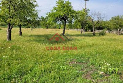 Casă cu Teren 1490 Mp în Voila - 10