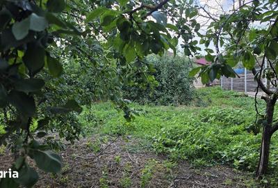 Casă cu 4 camere cu Teren 2200 Mp în Mihai Bravu - 2