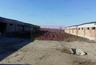 Teren Construcții intravilan de 15750 mp, în Balotești - 3