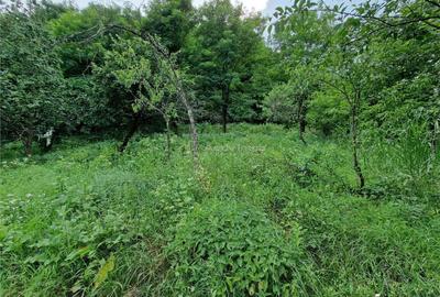 Bocsa, Casa Cocheta de Vacanta cu Teren. - 6