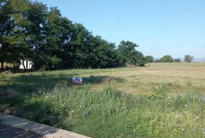 Teren de 3339 mp, în Berca - 5