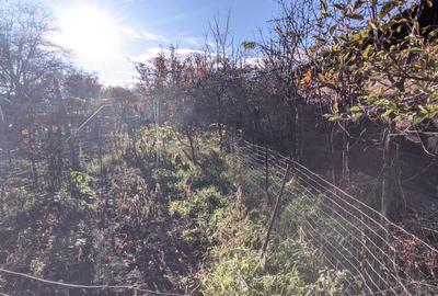 Casă de vânzare, 800 mp teren, Dâmbu Rotund aproape de Dedeman și de gară Casă de vânzare, 800 mp teren, Dâmbu Rotund aproape de Dedeman și de gară - 10