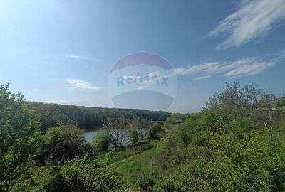 Vanzare Teren Constructii Langa Lac și Padure | Branesti | Ocazie! - 3