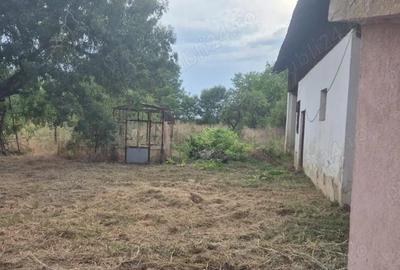 Casă cu 3 camere în Sculia - 2
