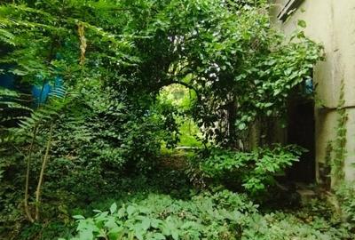 VAND TEREN IN COTROCENI STADAL 1240 MP + 3 VILE RENOVABILE LA CEL MAI BUN PRET - 21