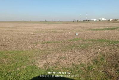 Teren de 8276 mp, în Singureni - 5