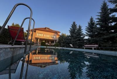 Vila cu piscina - 15