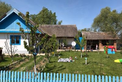 Proprietar vând 2,6 ha de teren parcelat, lângă Dunăre la Nufăru, Tulcea - 8