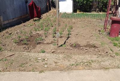 Vand Casa in ora?ul Corabia - 2