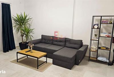 Apartament cu 2 camere în Mureșeni - 2