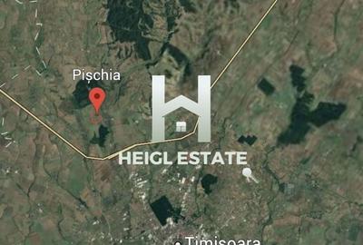 Teren intravilan Pischia - 3