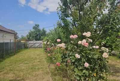 Teren de 455 mp, în Letea Veche - 5