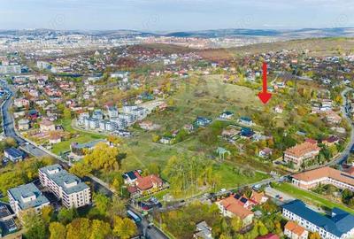 Teren de 1000 mp, în Bucium