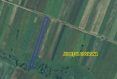 Teren de 5000 mp, în Ilieni - 1