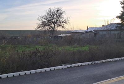 Teren în Cornetu - 9