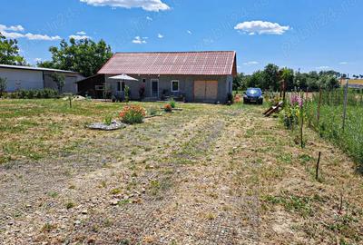 Casa cu teren 2700 mp la 22 km de Oradea - 8