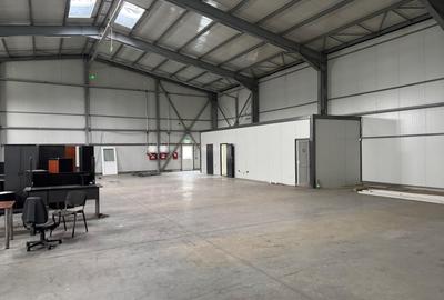 Spațiu industrial, de 974 mp, în Theodor Pallady - 1