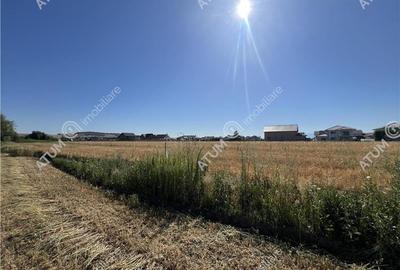 Teren extravilan de 10400 mp cu 2 deschideri in Cristian zona Serelor - 6