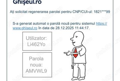 Casă cu 4 camere cu Teren 265 Mp în Podul de Fier - 5