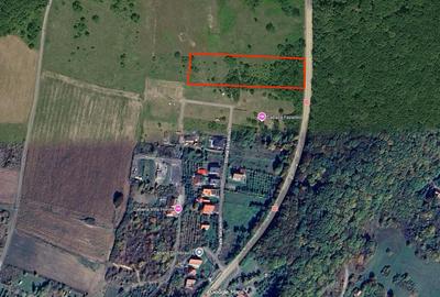 Teren Construcții intravilan de 500 mp, în Șura Mare - 1